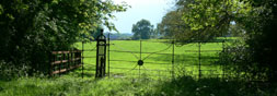 gate